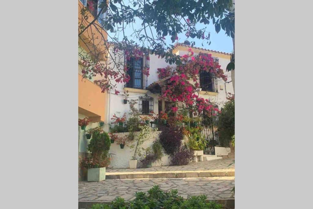 Appartement Palmeras Puerto Paraiso Естепона Екстериор снимка